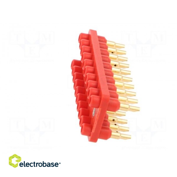 Socket strip | 2mm banana | red | 70VDC | 10A | 33VAC | Sockets: 20 | 12mm фото 3