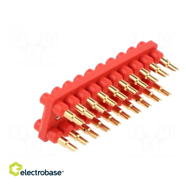 Socket strip | 2mm banana | red | 70VDC | 10A | 33VAC | Sockets: 20 | 12mm фото 4