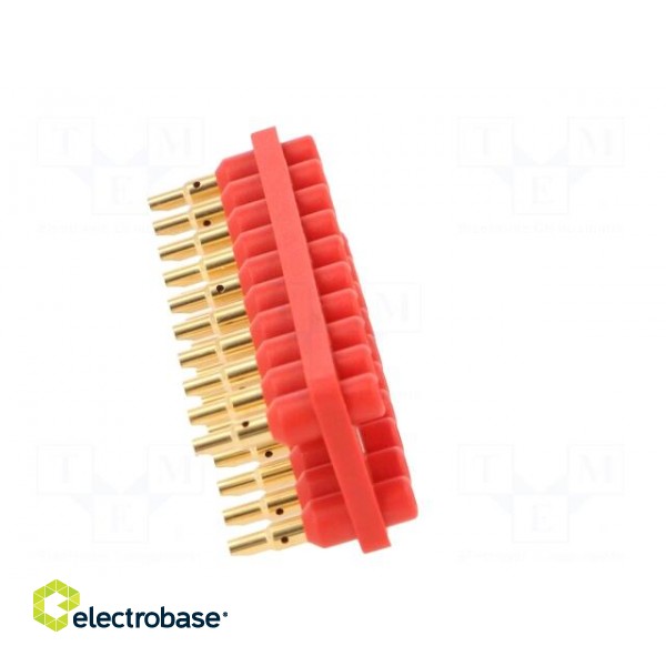 Socket strip | 2mm banana | red | 70VDC | 10A | 33VAC | Sockets: 20 | 12mm фото 7