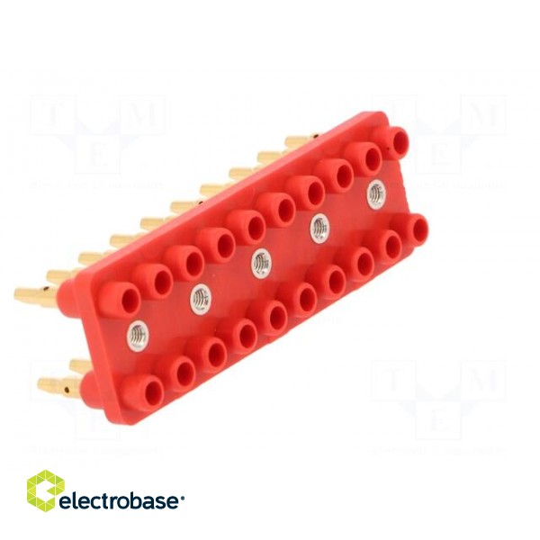 Socket strip | 2mm banana | red | 70VDC | 10A | 33VAC | Sockets: 20 | 12mm фото 8