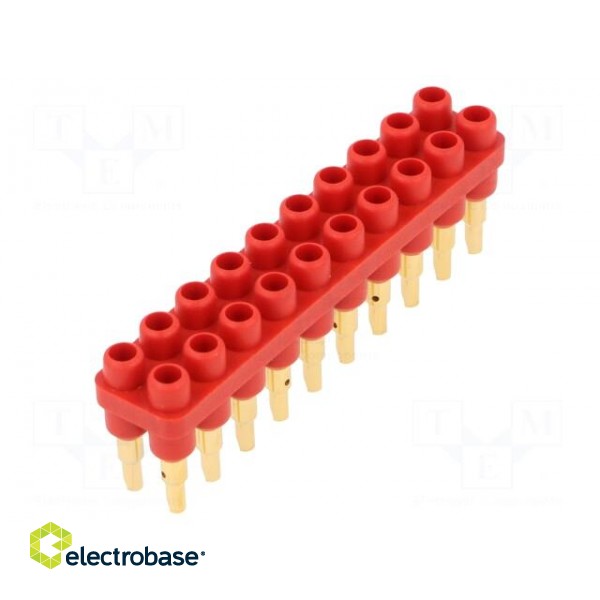 Socket strip | 2mm banana | red | 70VDC | 10A | 33VAC | Sockets: 20 | 6mm фото 1