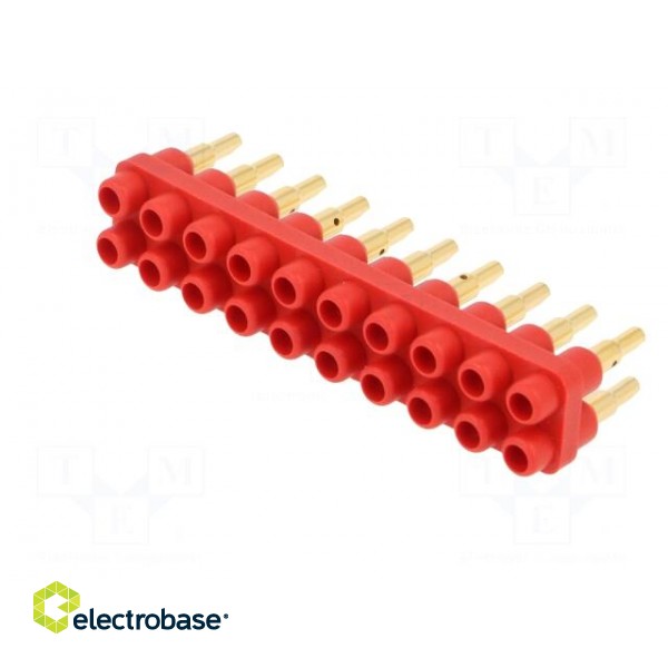 Socket strip | 2mm banana | red | 70VDC | 10A | 33VAC | Sockets: 20 | 6mm фото 2