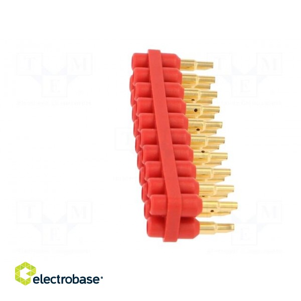 Socket strip | 2mm banana | red | 70VDC | 10A | 33VAC | Sockets: 20 | 6mm фото 3