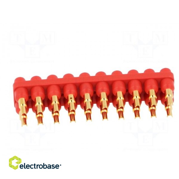 Socket strip | 2mm banana | red | 70VDC | 10A | 33VAC | Sockets: 20 | 6mm фото 5