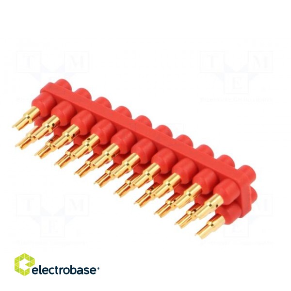 Socket strip | 2mm banana | red | 70VDC | 10A | 33VAC | Sockets: 20 | 6mm фото 6