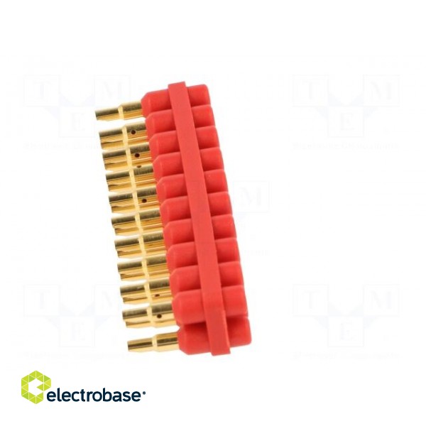 Socket strip | 2mm banana | red | 70VDC | 10A | 33VAC | Sockets: 20 | 6mm фото 7