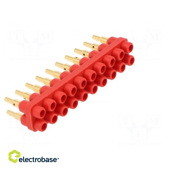Socket strip | 2mm banana | red | 70VDC | 10A | 33VAC | Sockets: 20 | 6mm фото 8
