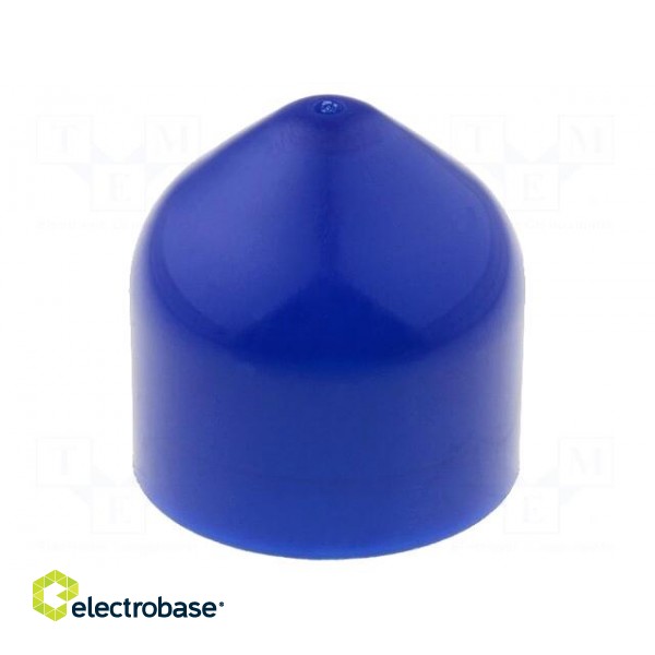Plunger | 30/55ml | Colour: blue | Manufacturer series: QuantX