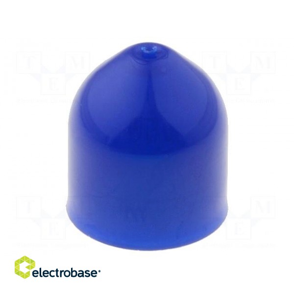 Plunger | 3ml | Colour: blue | Manufacturer series: QuantX