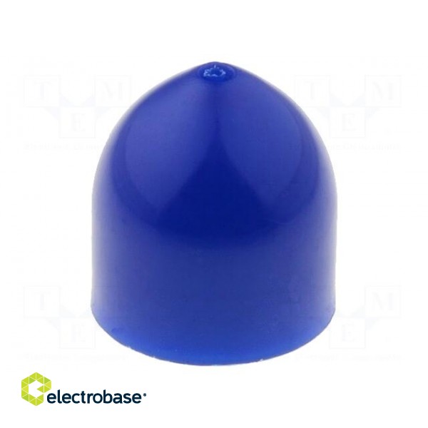 Plunger | 5ml | blue | high-viscosity fluids | silicone free | QuantX