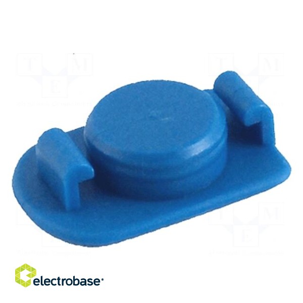 Syringe plug | 10ml | blue | 910-B,910-N | polyetylene