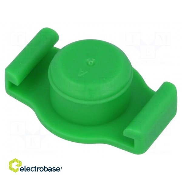Syringe plug | 10ml | green | for syringes | silicone free | QuantX image 1