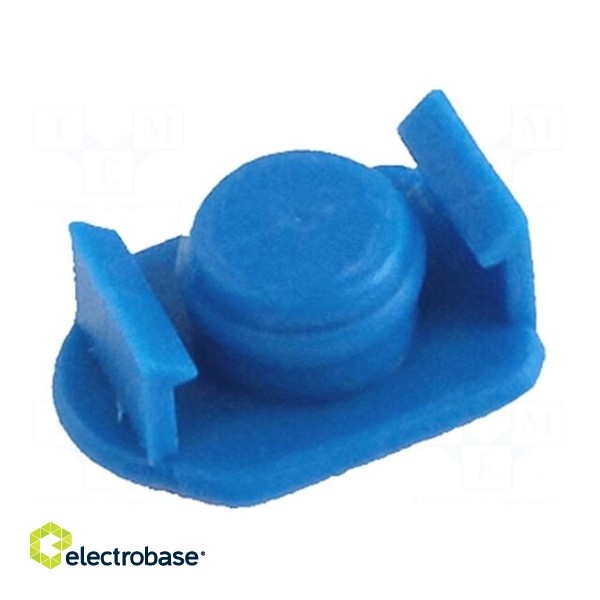 Syringe plug | 3ml | blue | 903-B,903-N | polyetylene