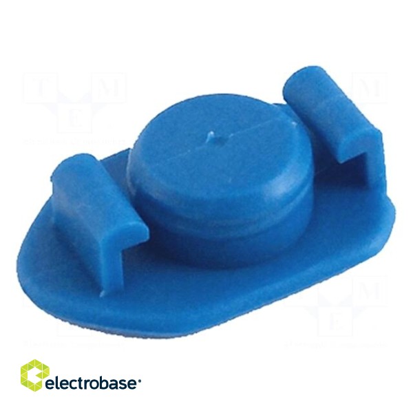 Syringe plug | 5ml | blue | 905-B,905-N | polyetylene