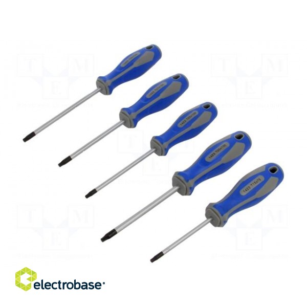 Kit: screwdrivers | Torx® | 5pcs.