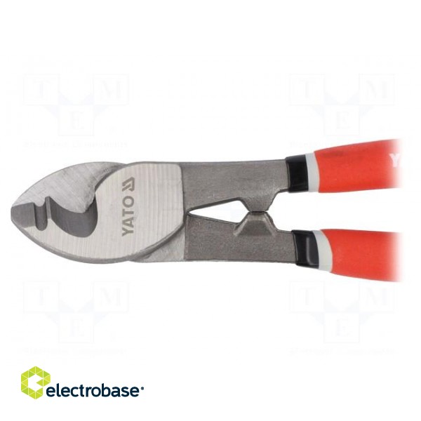 Pliers | cutting | Pliers len: 240mm | Cut: without chamfer | 8mm2 фото 3
