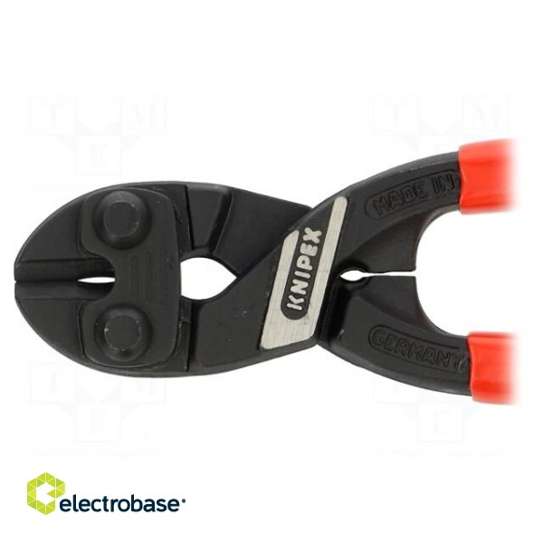 Pliers | cutting | blackened tool,plastic handle | CoBolt® paveikslėlis 2