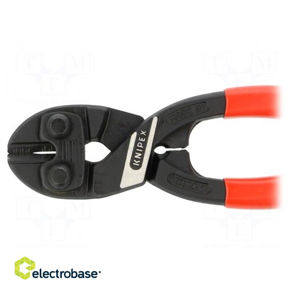 Pliers | cutting | blackened tool,plastic handle | CoBolt® paveikslėlis 3