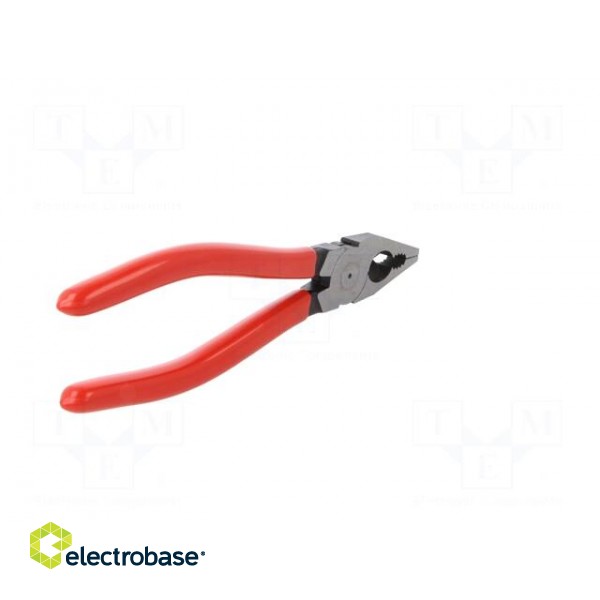 Pliers | for gripping and cutting,universal | plastic handle paveikslėlis 9