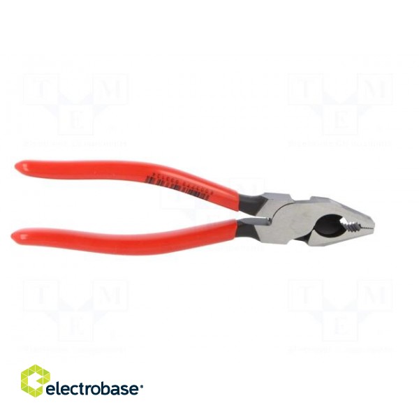 Pliers | for gripping and cutting,universal | plastic handle paveikslėlis 10