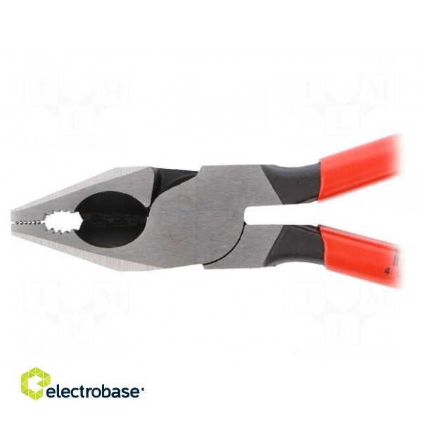 Pliers | for gripping and cutting,universal | plastic handle paveikslėlis 4