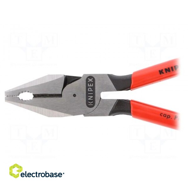 Pliers | for gripping and cutting,universal | plastic handle paveikslėlis 3