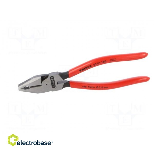 Pliers | for gripping and cutting,universal | plastic handle paveikslėlis 6