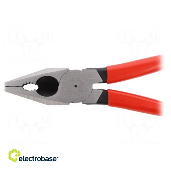 Pliers | for gripping and cutting,universal | plastic handle paveikslėlis 4