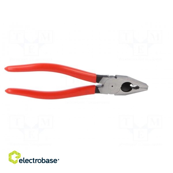 Pliers | for gripping and cutting,universal | plastic handle paveikslėlis 10
