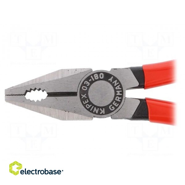 Pliers | for gripping and cutting,universal | plastic handle image 2