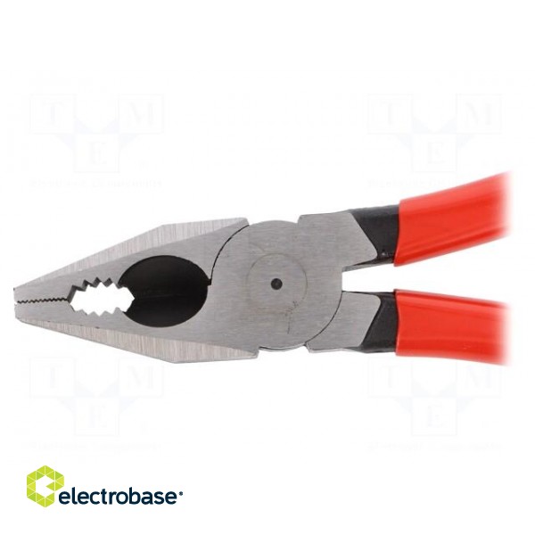 Pliers | for gripping and cutting,universal | plastic handle paveikslėlis 4