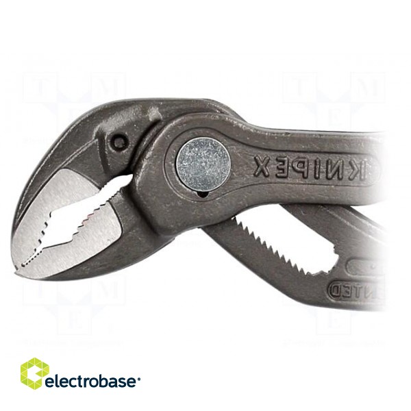 Pliers | adjustable,adjustable grip | 250mm | Blade: about 61 HRC paveikslėlis 2