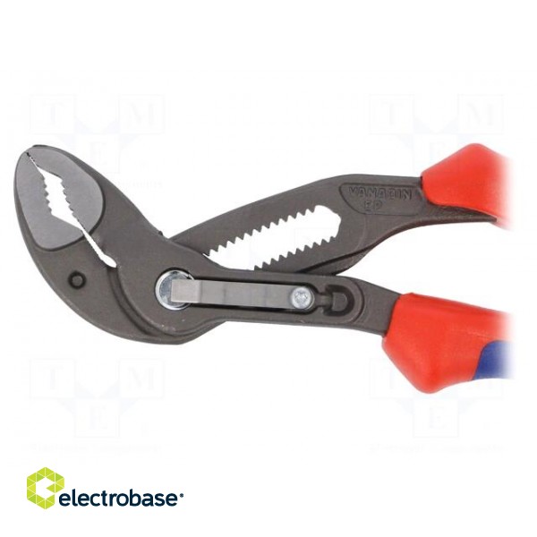 Pliers | adjustable,Cobra adjustable grip | Pliers len: 180mm paveikslėlis 3