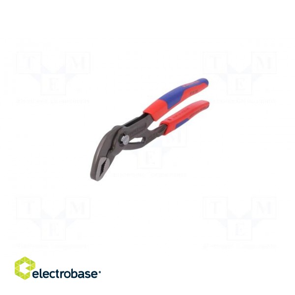 Pliers | adjustable,Cobra adjustable grip | Pliers len: 250mm paveikslėlis 5