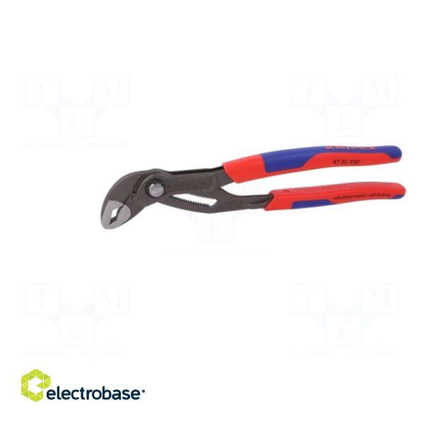 Pliers | adjustable,Cobra adjustable grip | Pliers len: 250mm paveikslėlis 6