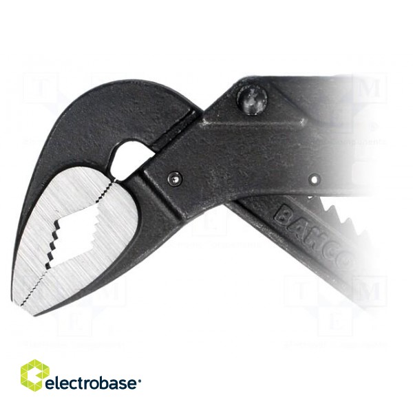 Pliers | Cobra adjustable grip | 250mm | chrome-vanadium steel paveikslėlis 2