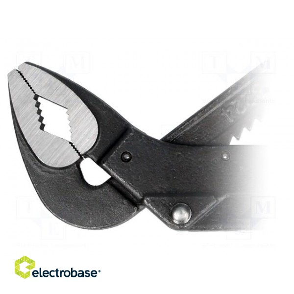 Pliers | Cobra adjustable grip | 250mm | chrome-vanadium steel paveikslėlis 4