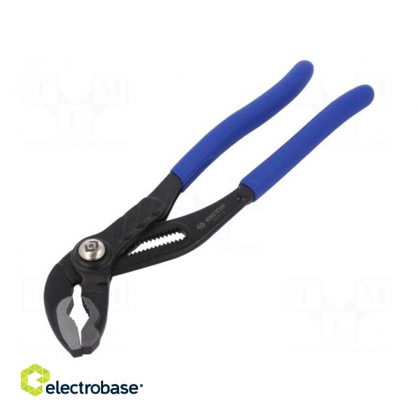 Pliers | for pipe gripping,adjustable | 250mm | with button paveikslėlis 1