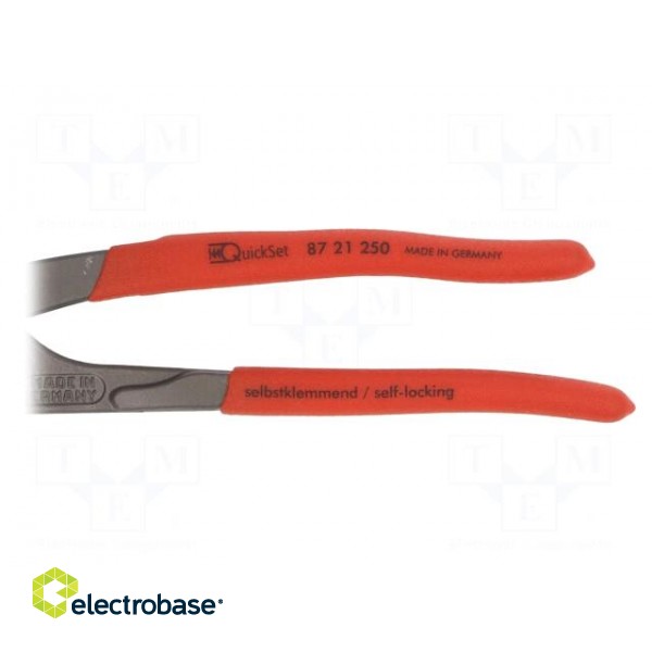 Pliers | Pliers len: 250mm | Max jaw capacity: 50mm image 2