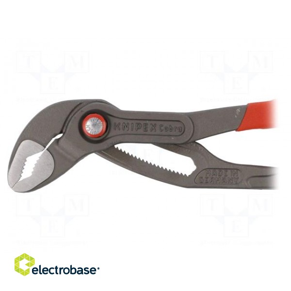 Pliers | Cobra adjustable grip | Pliers len: 250mm фото 4