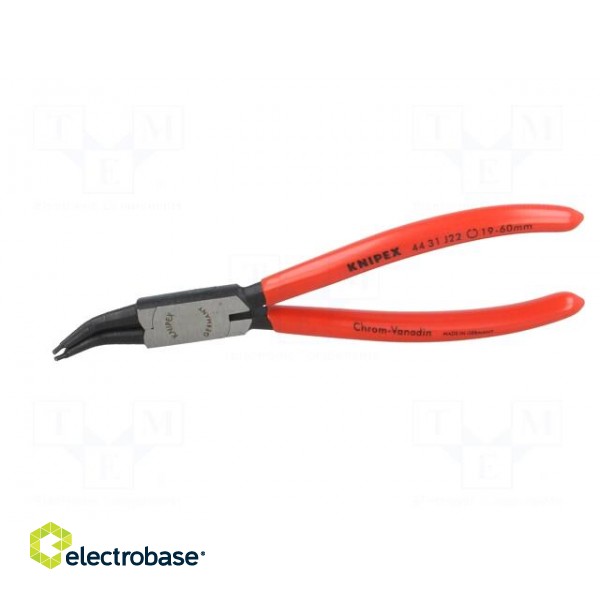 Pliers | for circlip | internal | 19÷60mm | Pliers len: 180mm | angular image 6