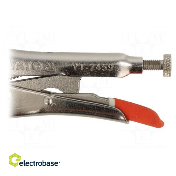 Pliers | Morse's,locking | 150mm | molybdenum steel image 4