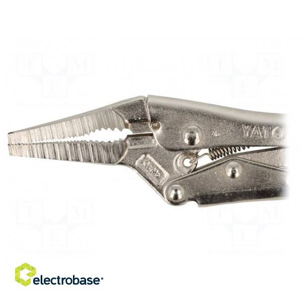 Pliers | Morse's,locking | 150mm | molybdenum steel image 3