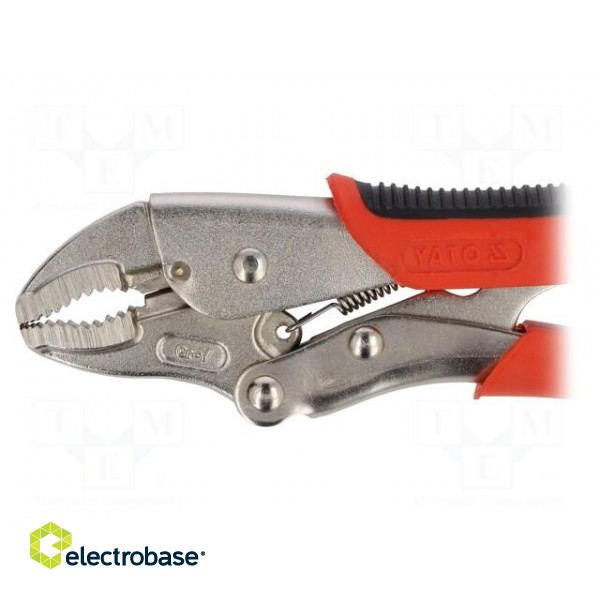 Pliers | Morse's,locking | 180mm | Mat: Chrom-vanadium steel image 2