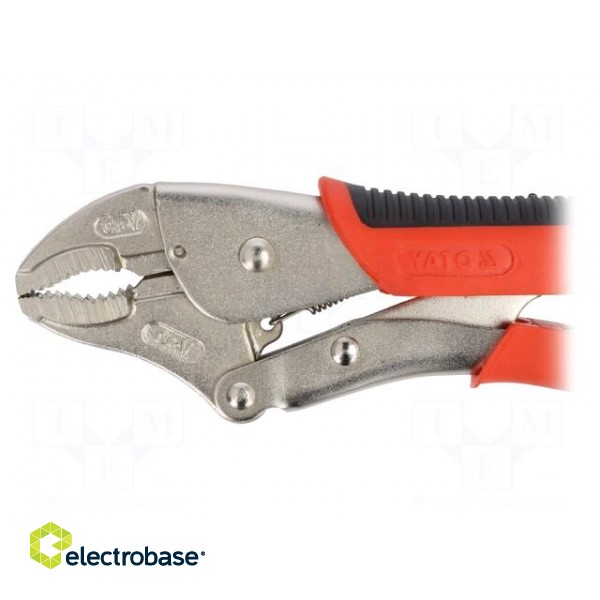 Pliers | Morse's,locking | 240mm | Mat: Chrom-vanadium steel image 3