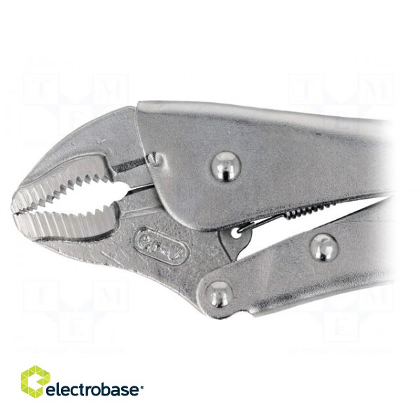 Pliers | Morse's,locking | 250mm image 2