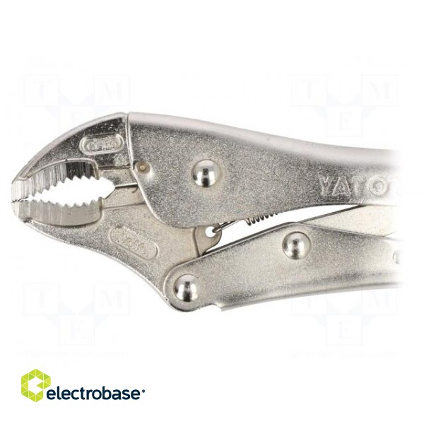 Pliers | Morse's,locking | 250mm | Mat: molybdenum steel image 2