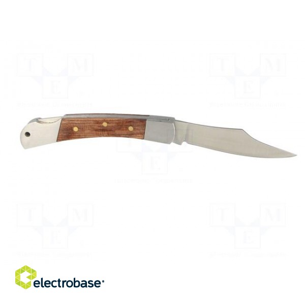 Knife | Tool length: 162mm | Blade length: 70mm | polished grip image 7