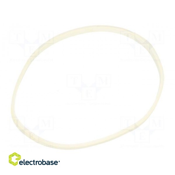 Rubber bands | Width: 3mm | Thick: 1.5mm | rubber | Colour: white image 2