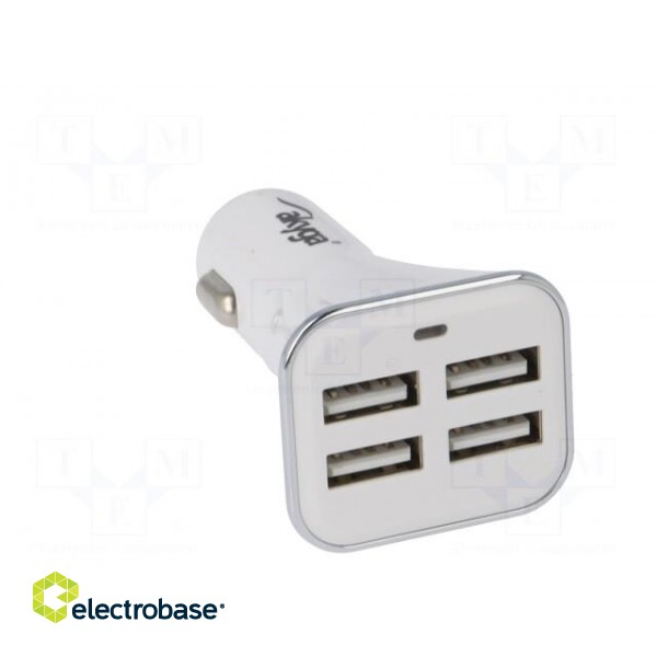 USB power supply | USB A socket x4 | Sup.volt: 12÷24VDC | white image 9